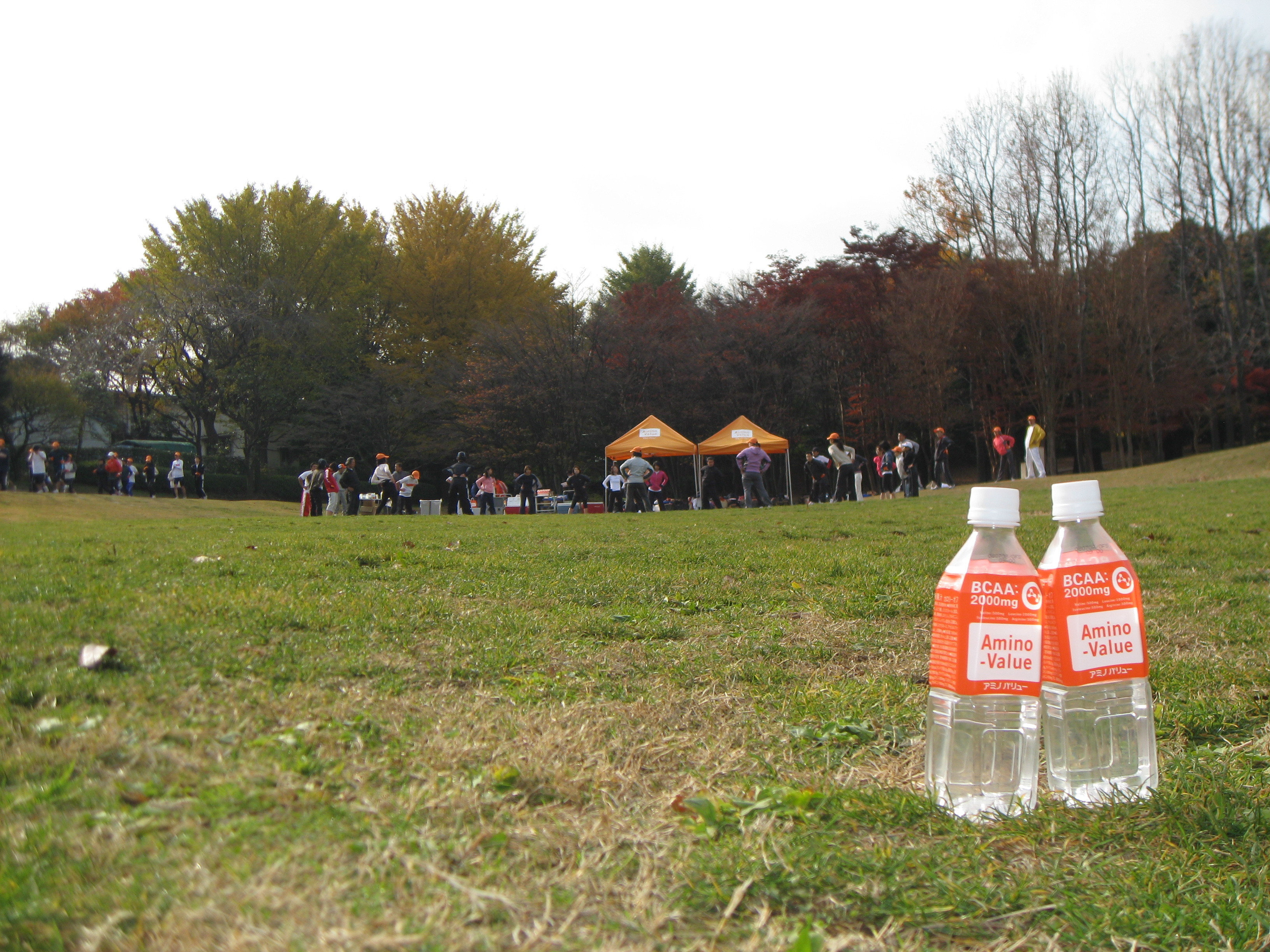 20071202avrc 013.jpg